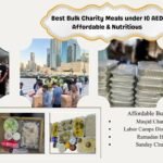 Affordable chicken biryani meal box under 10 AED